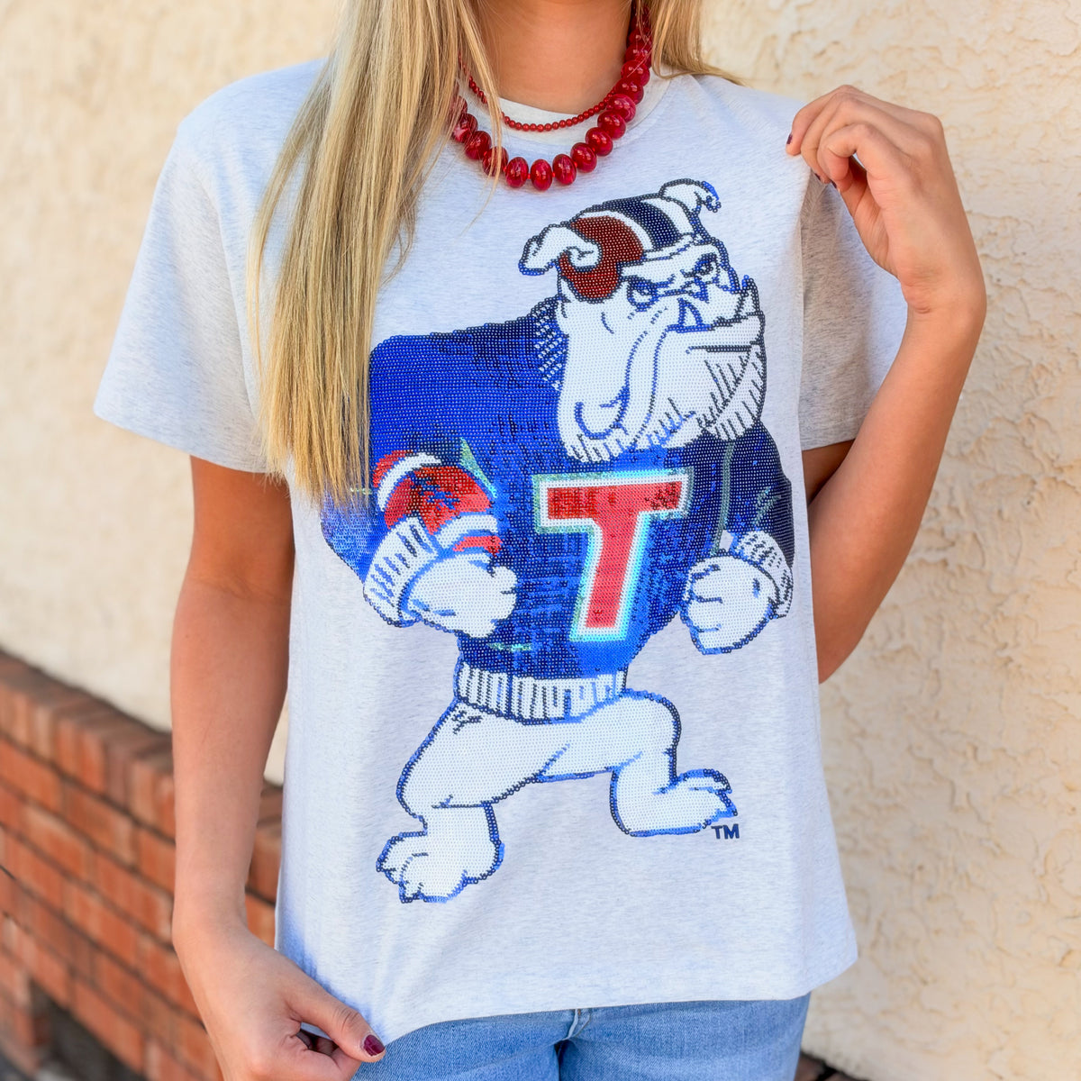 Vintage Football Bulldog Sparkle Tee